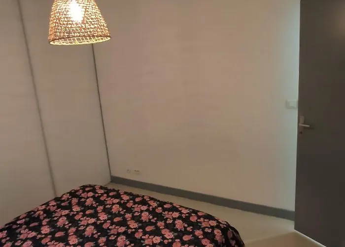 Le Provencal Apartment *